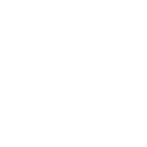 Logo branco 99site